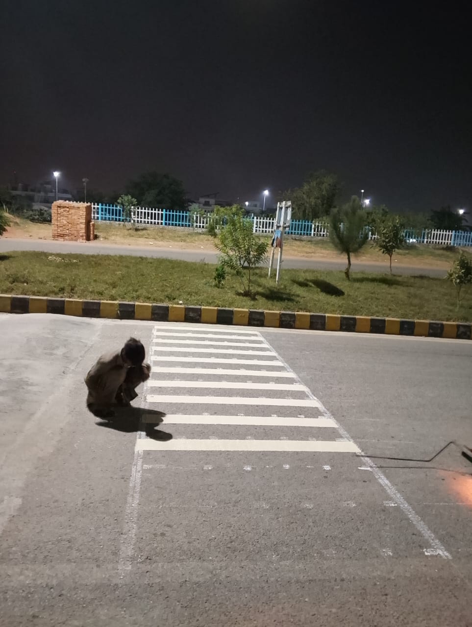 Project G13 Image 1 - Zebra Crossing in progress