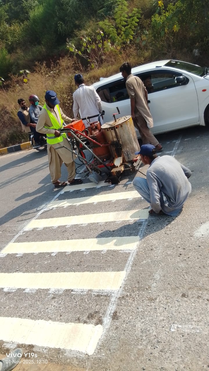 Night view of reflective cat's eyes